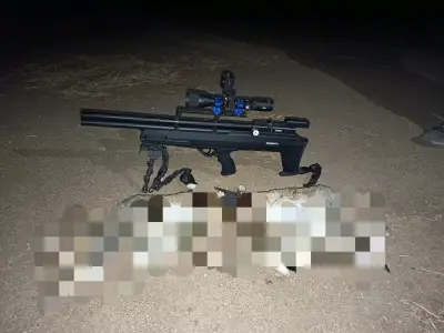 Rifle pcp Nova vista r2 - miniatura 6