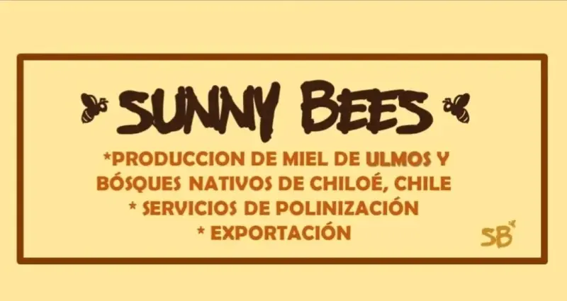 Miel natural Sunny Bees de Chiloé - 2