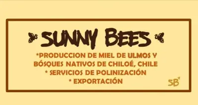 Miel natural Sunny Bees de Chiloé - miniatura 2