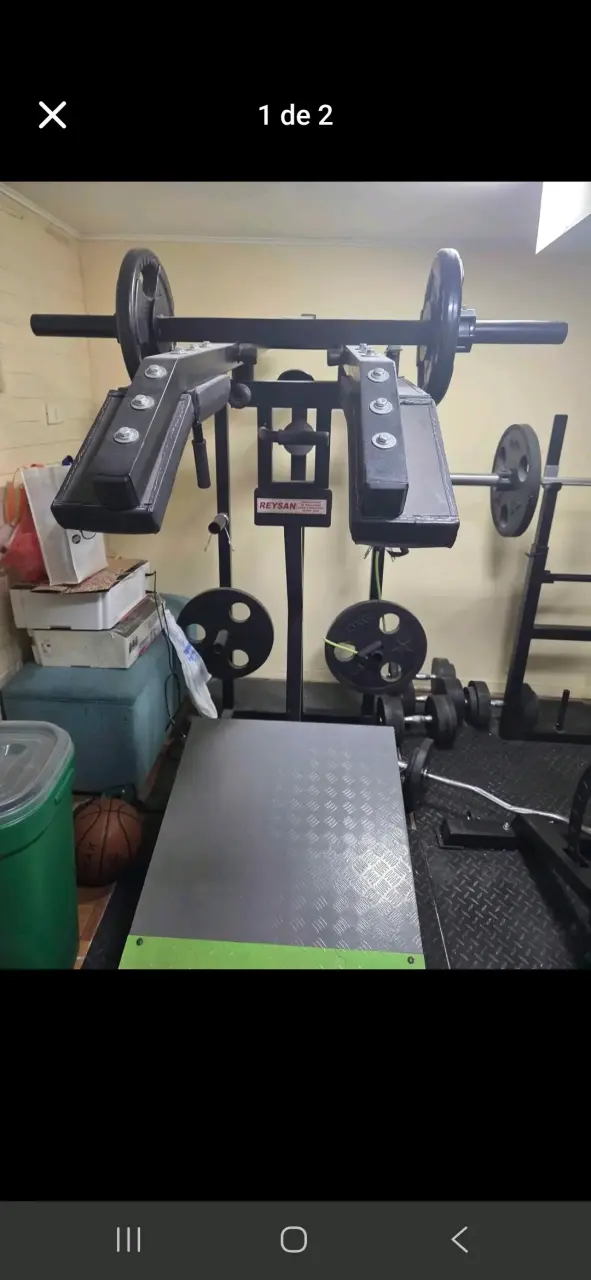 Máquina de ejercicios Reysan con pesas