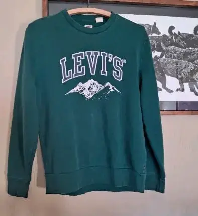Polerón Levi's verde talla S - miniatura 1