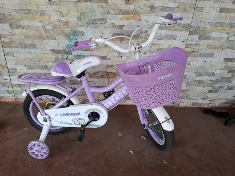Bicicleta infantil Shengdi con ruedas de apoyo - 1
