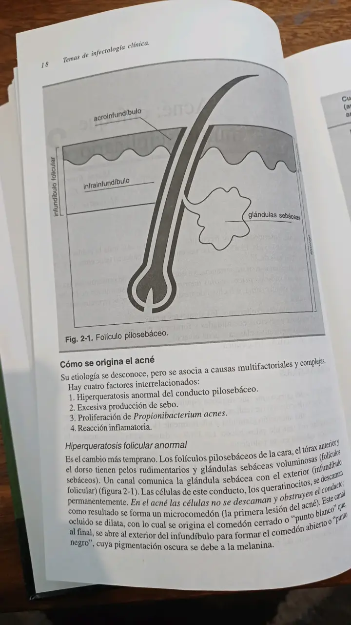 Libro Temas de Infectología Clínica - 4