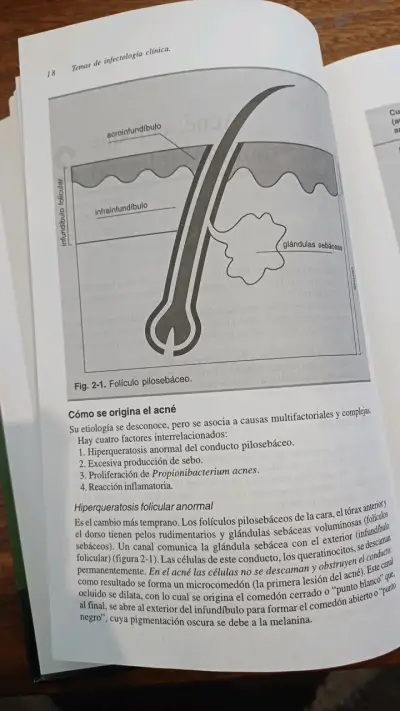 Libro Temas de Infectología Clínica - miniatura 4