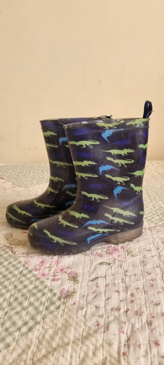 Botas de lluvia infantiles con dinosaurios N29 - 2