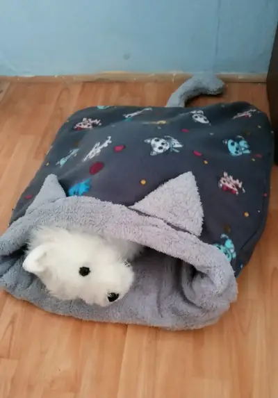 Sacos de dormir para mascotas con diseño de gatos - miniatura 1