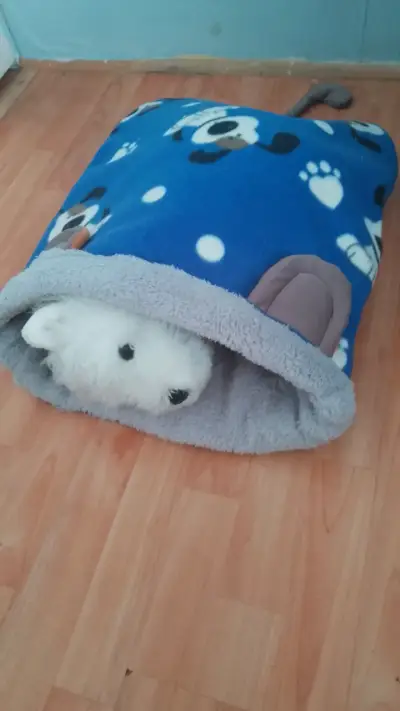Sacos de dormir para mascotas con diseño de gatos - miniatura 2