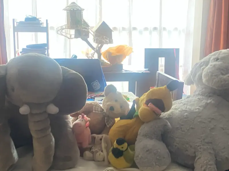 Set de peluches variados