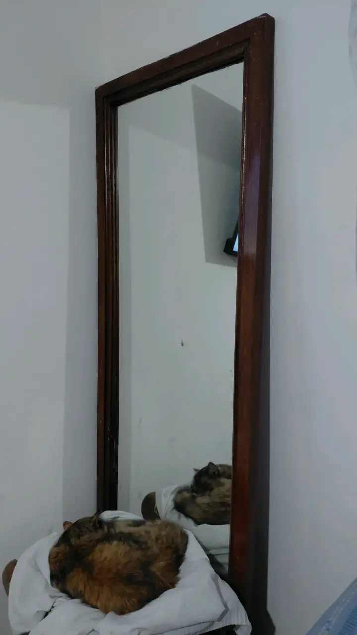 Espejo de pie con marco de madera