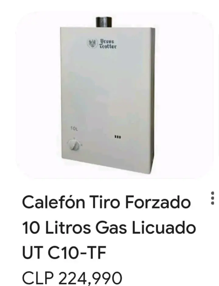 Calefón tiro forzado 10L gas licuado - 3