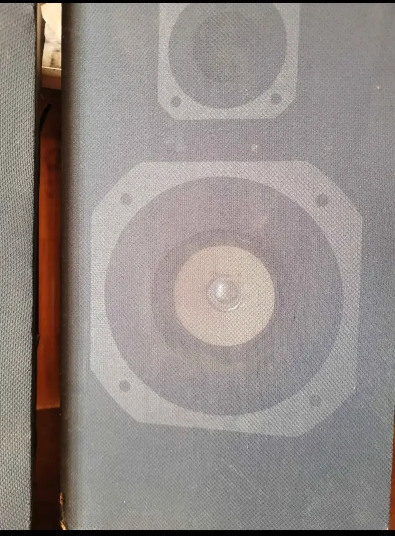 2 Parlantes de sonido envolvente - 1