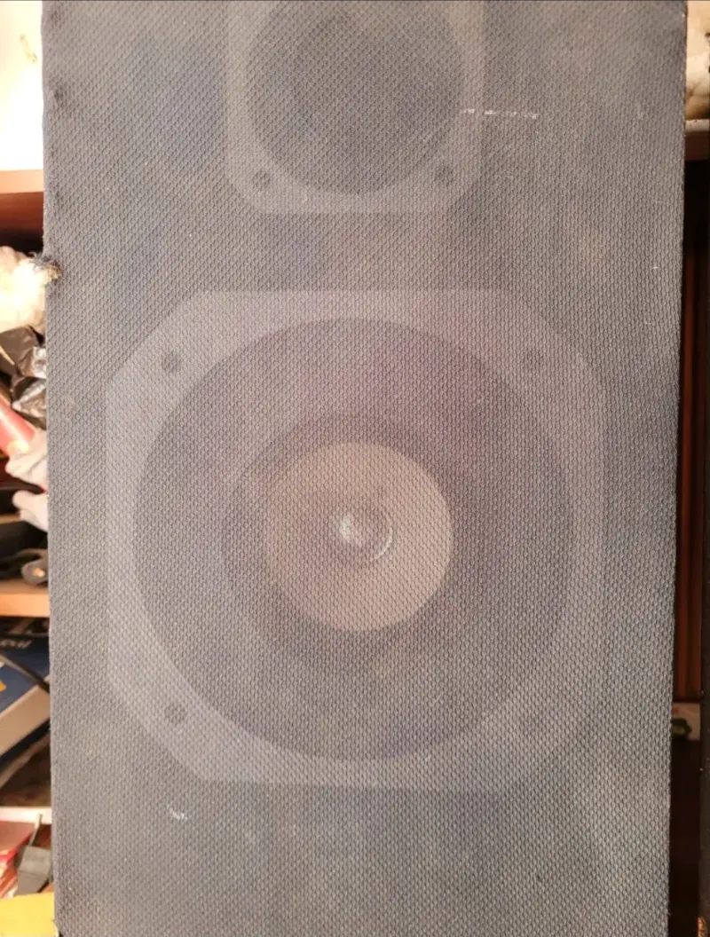 2 Parlantes de sonido envolvente - 2
