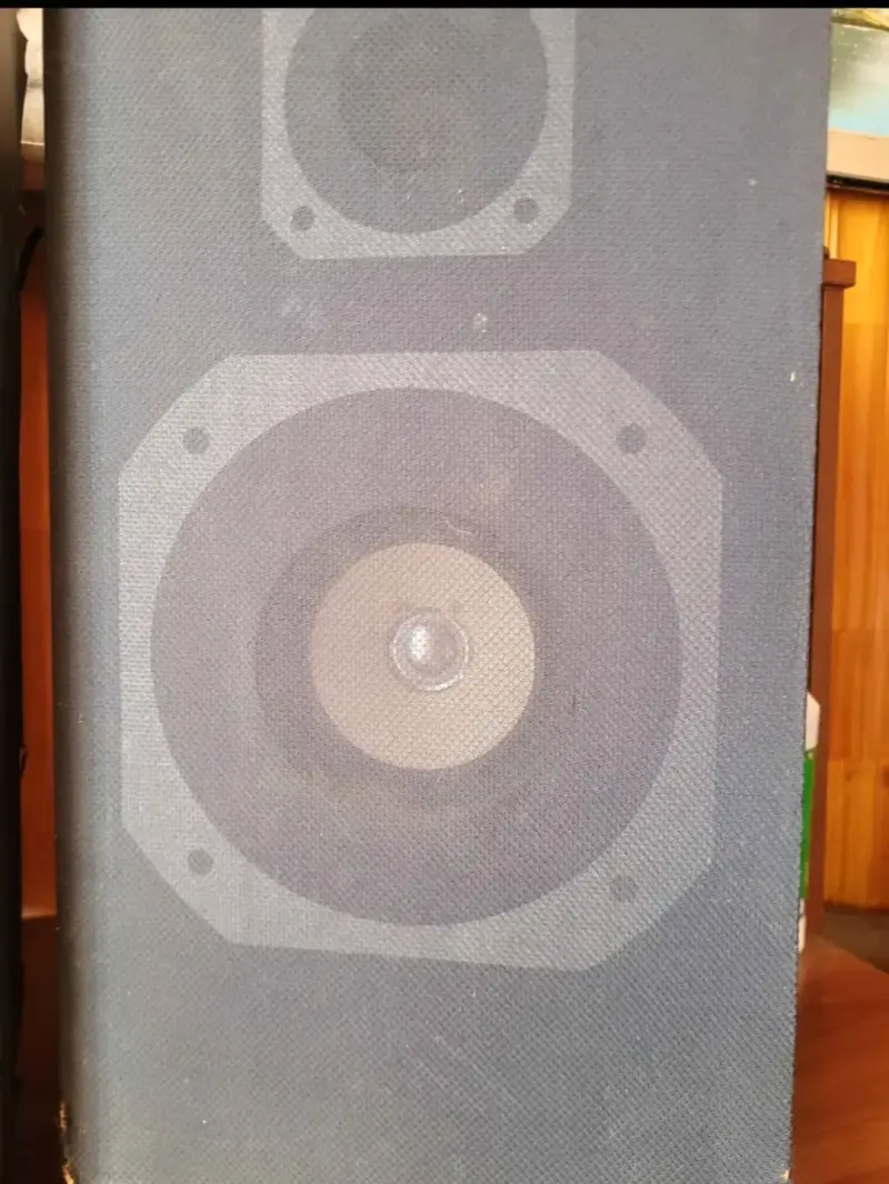 2 Parlantes de sonido envolvente - 3