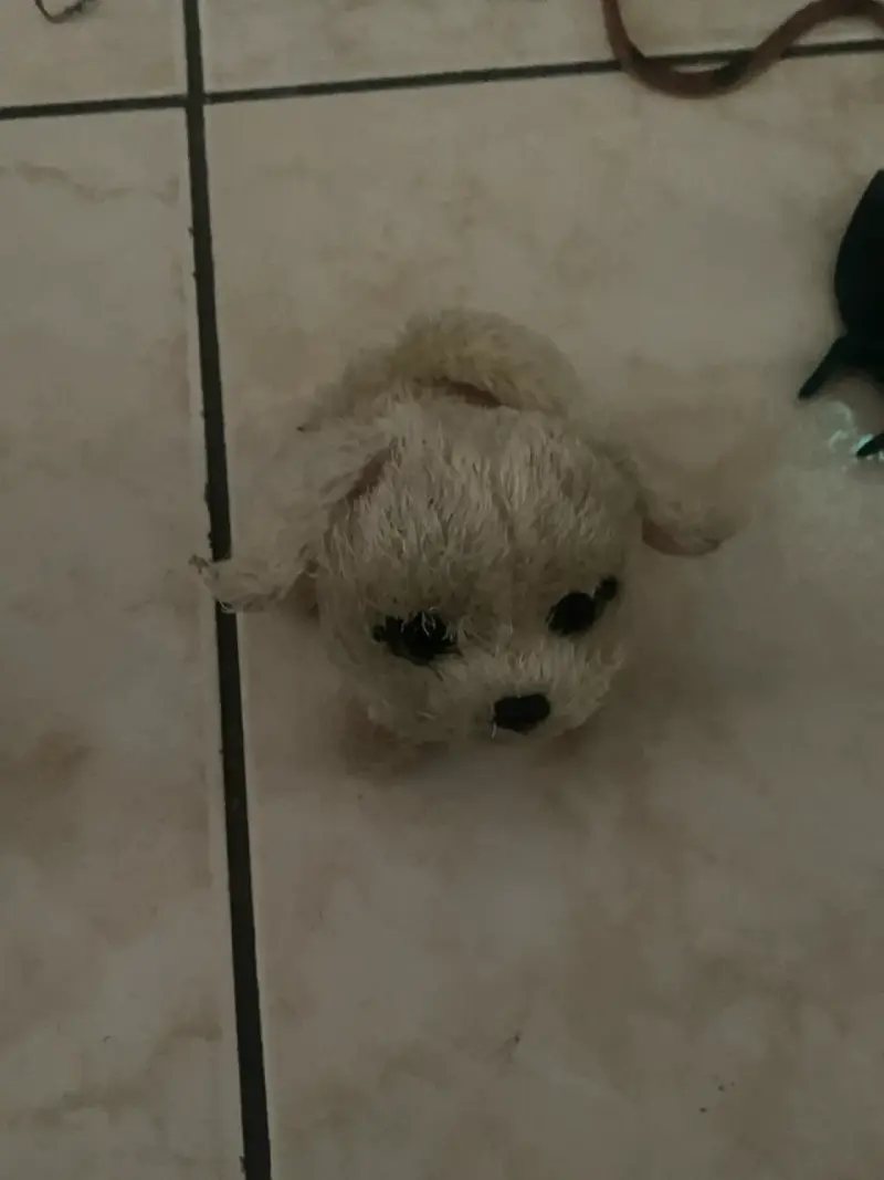 Peluche de perrito beige