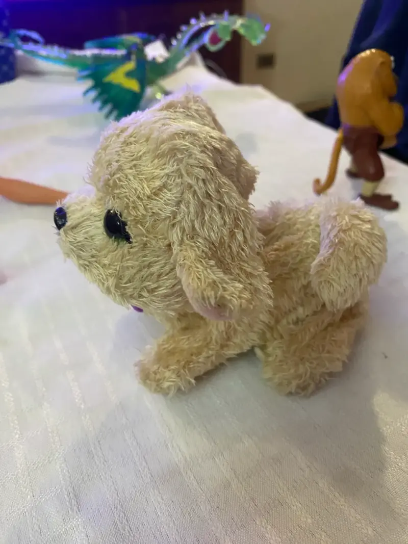 Peluche de perrito beige - 4