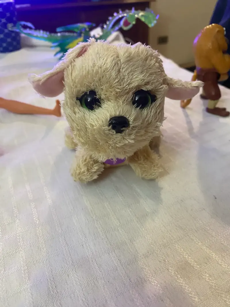 Peluche de perrito beige - 5