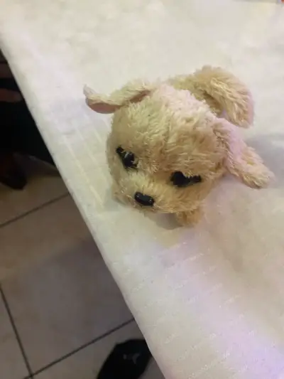 Peluche de perrito beige - miniatura 6