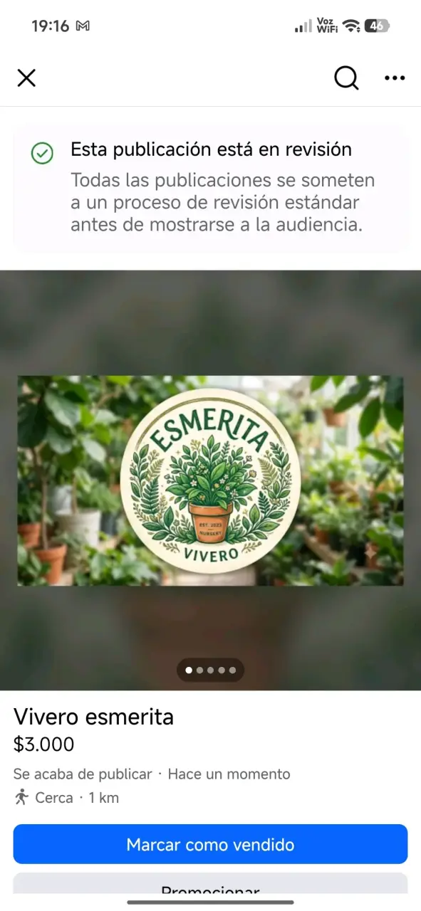 Plantas de vivero Esmerita - 1