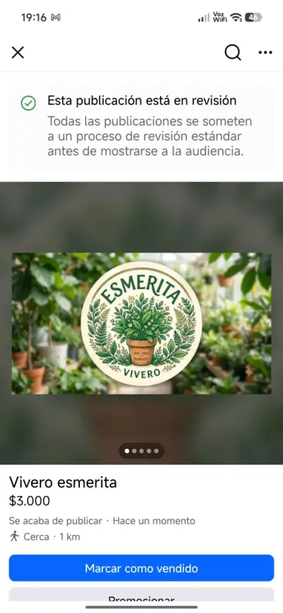 Plantas de vivero Esmerita - miniatura 1