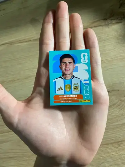 Lámina Panini: Enzo Fernández - miniatura 3
