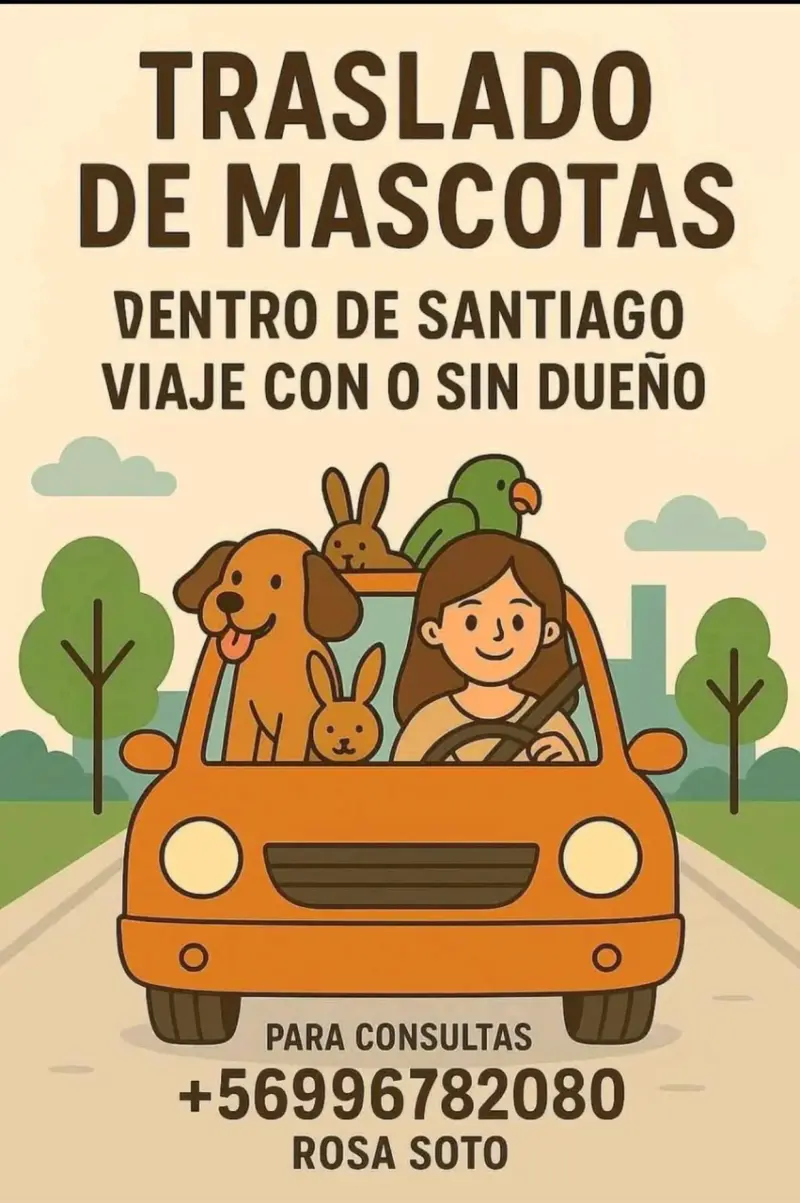 Servicio de traslado de mascotas en Santiago