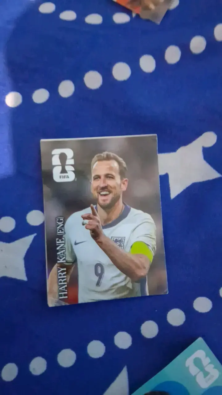 Laminas panini oficiales - 5