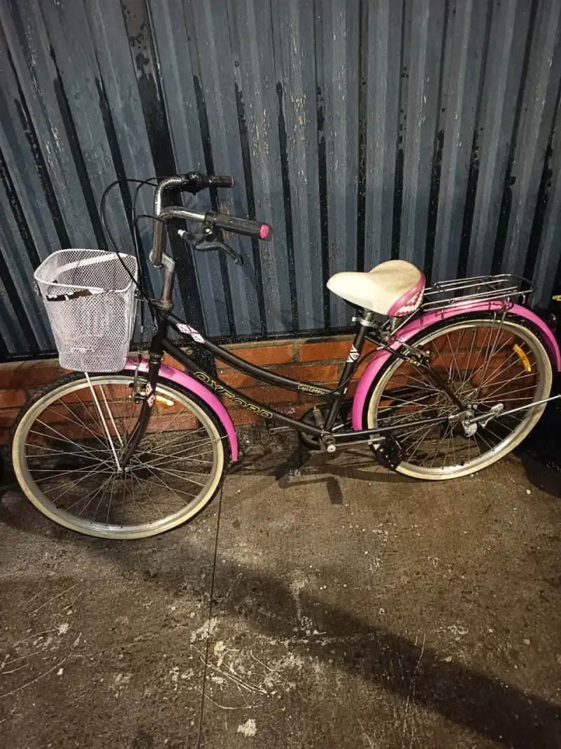 Bicicleta urbana Oxford con canasto
