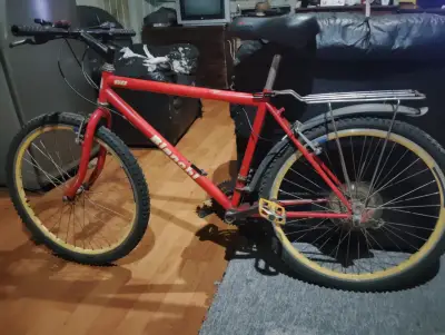 Bicicleta Bianchi roja con parrilla trasera - miniatura 1