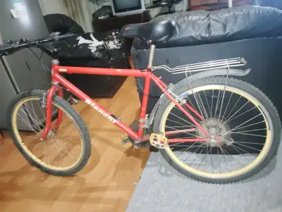 Bicicleta Bianchi roja con parrilla trasera - miniatura 2