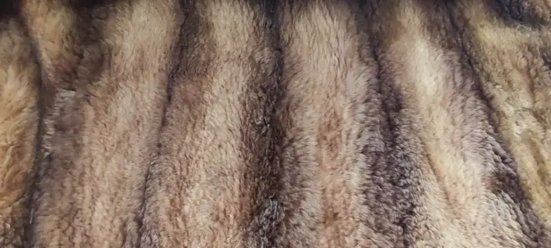 Abrigo Piel Natural de Castor Mujer - 2