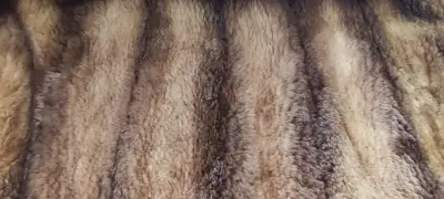 Abrigo Piel Natural de Castor Mujer - miniatura 2
