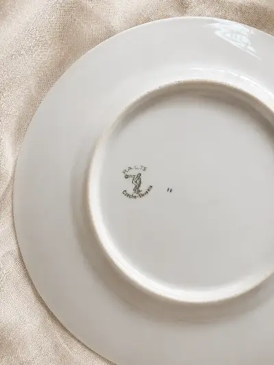 Platos de pan porcelana checa en tornasol - miniatura 5