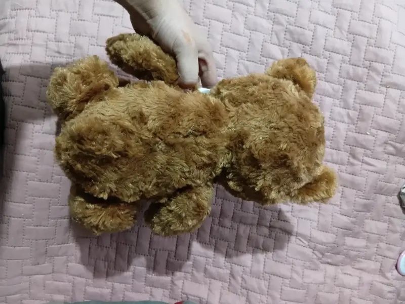 Peluche oso café con lazo blanco - 3