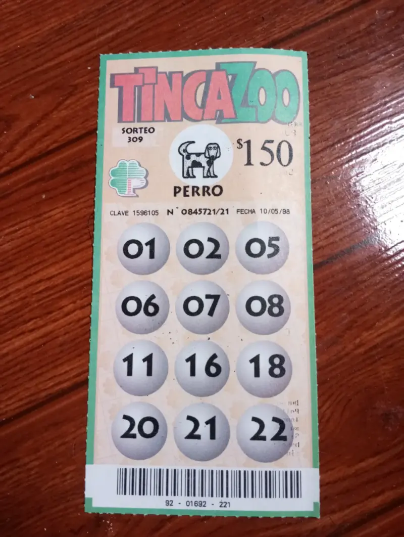 Boleto de lotería Tincazoo sorteo 309 - 1