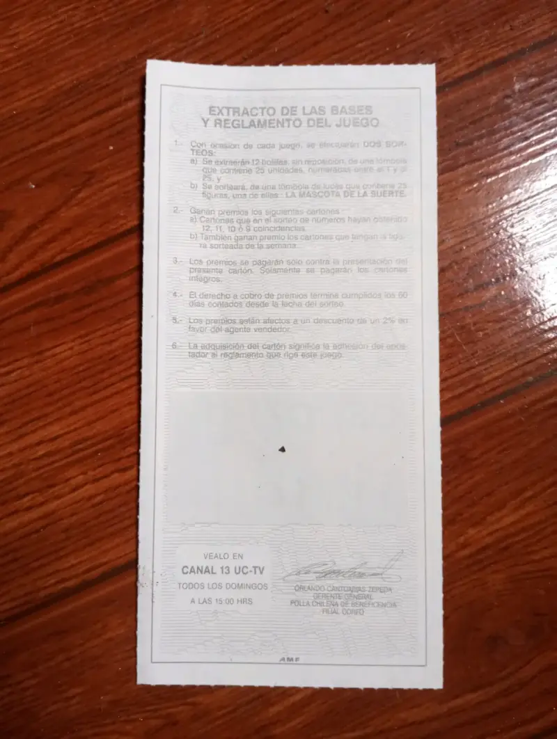 Boleto de lotería Tincazoo sorteo 309 - 2