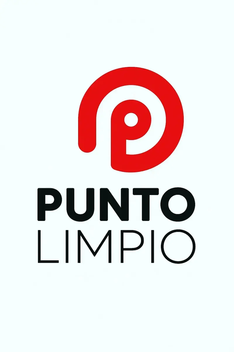 Limpieza profesional. - 1