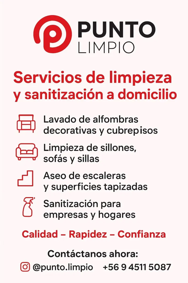 Limpieza profesional. - 2