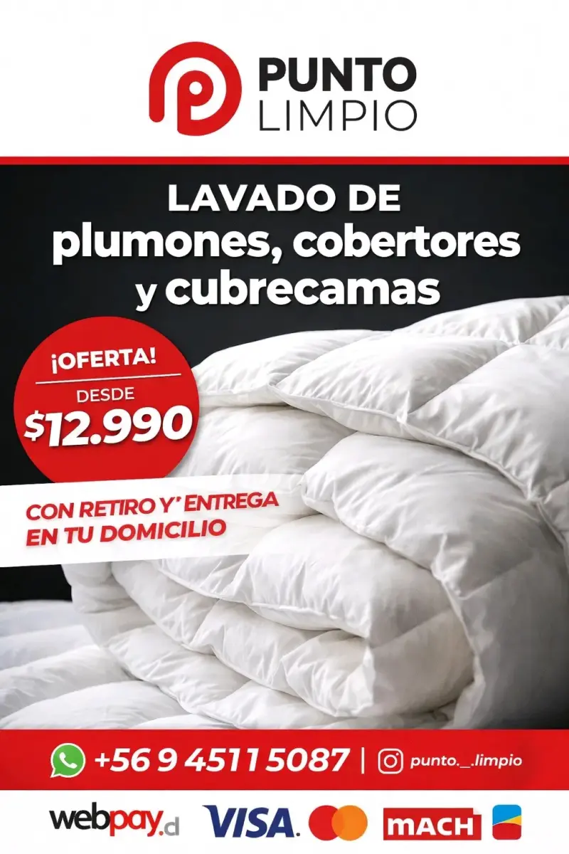 Limpieza profesional. - 5