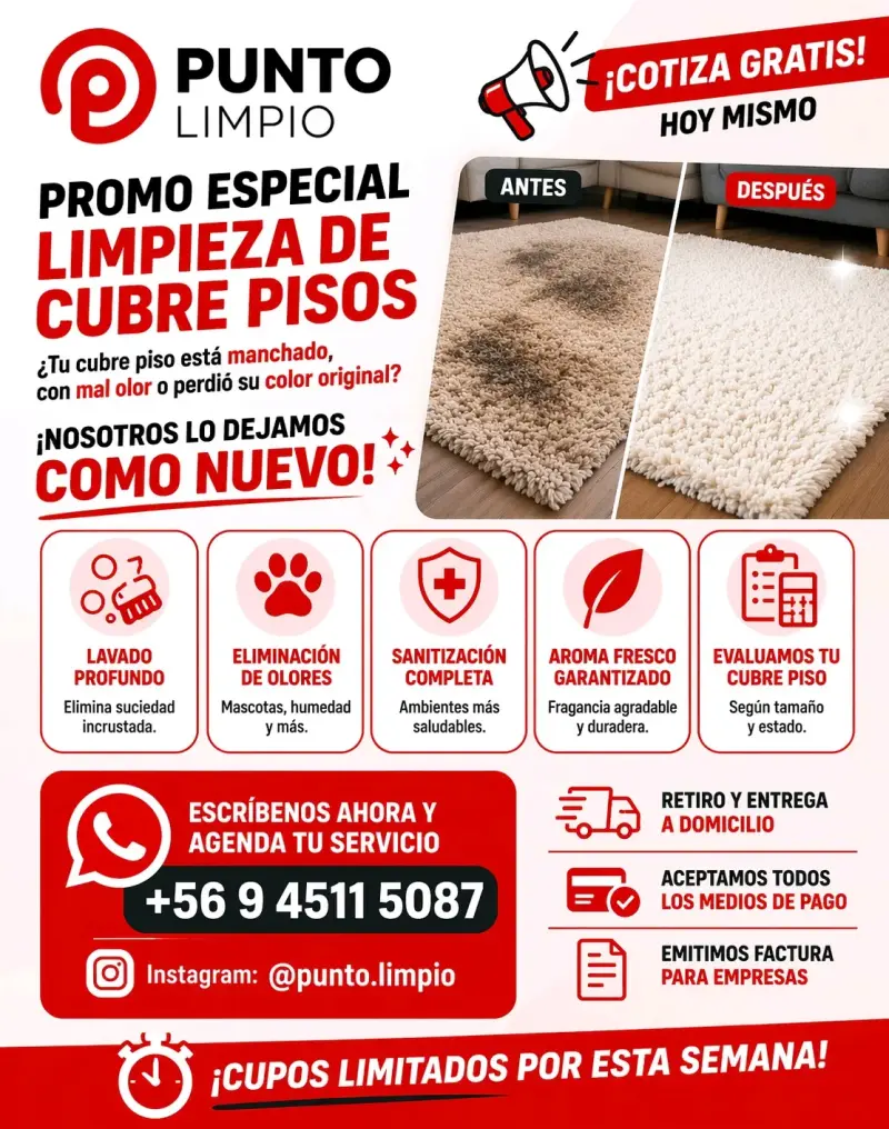 Limpieza profesional. - 6