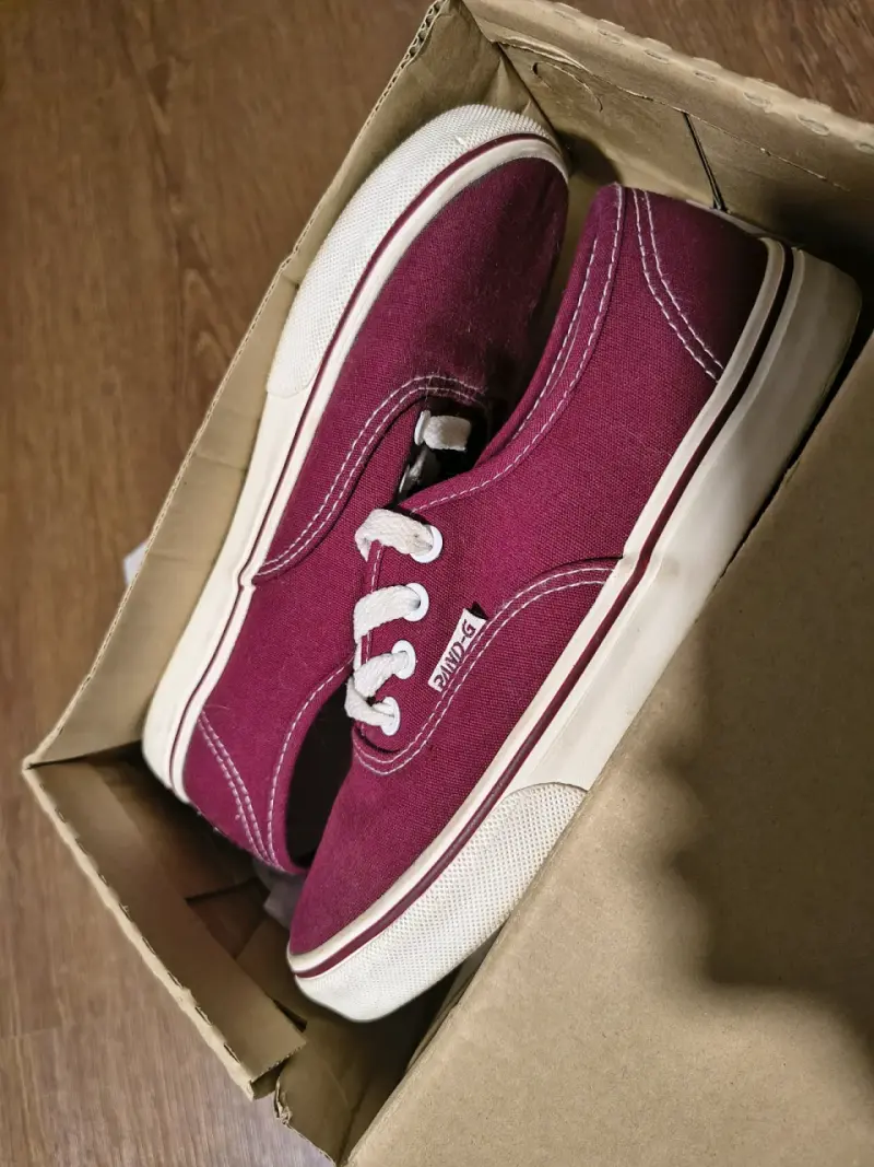 Zapatillas de lona burdeos unisex