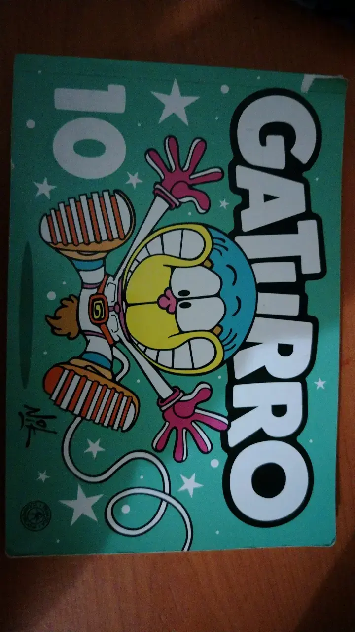 Libro Gaturro 10 en buen estado