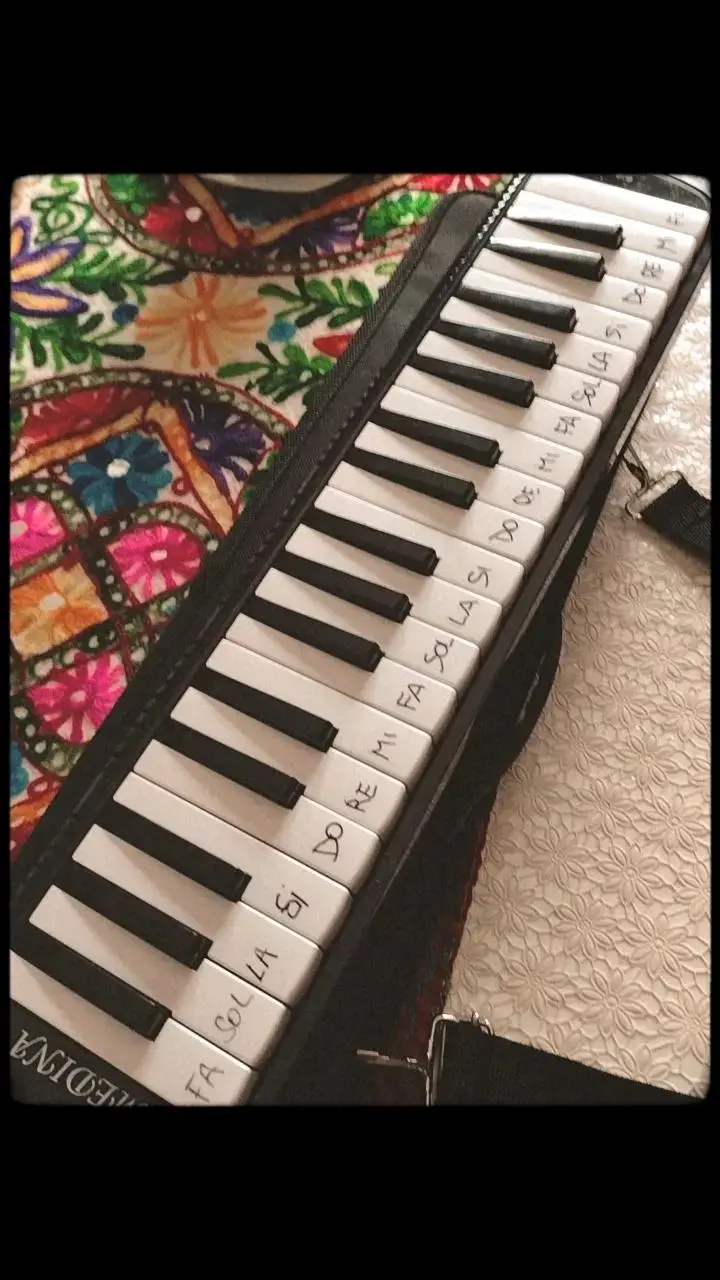 instrumento musical Medina con estuche - 2