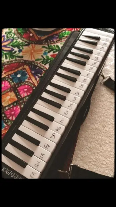 instrumento musical Medina con estuche - miniatura 2