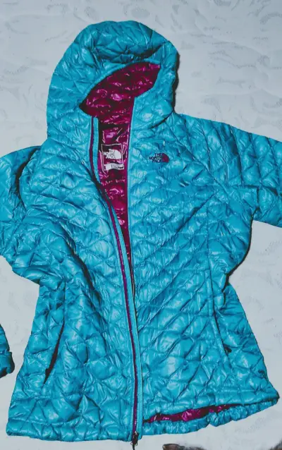 Chaqueta The North Face azul acolchada - miniatura 1