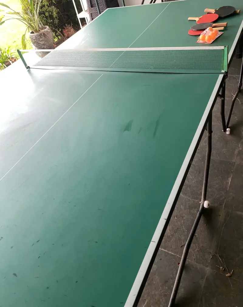 Mesa de ping pong plegable con accesorios - 1