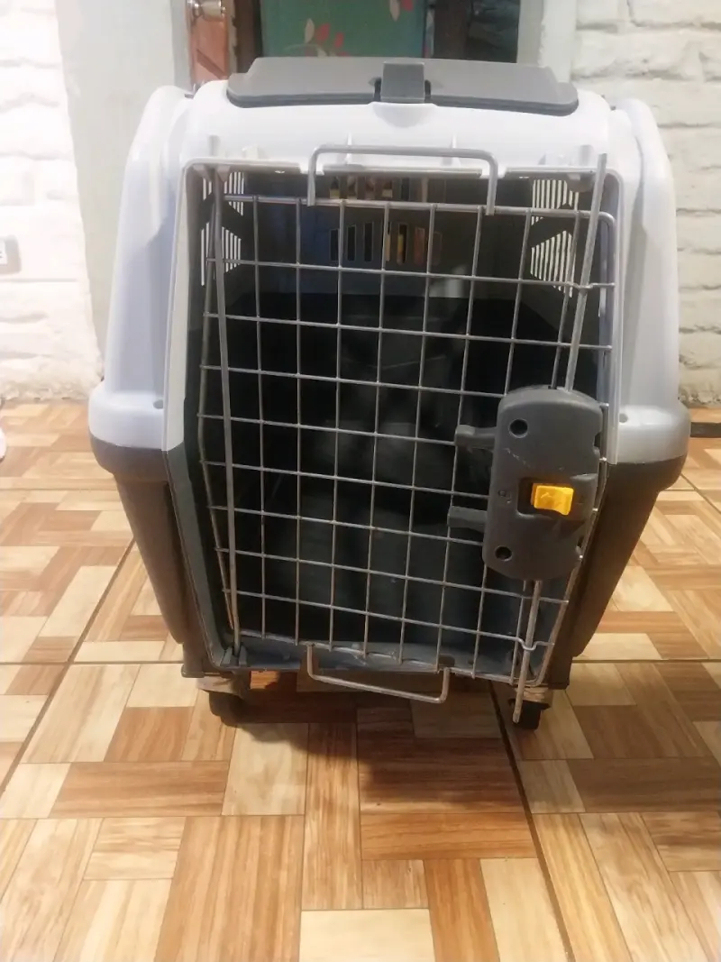 Transportadora de mascotas Skudo mediana - 2
