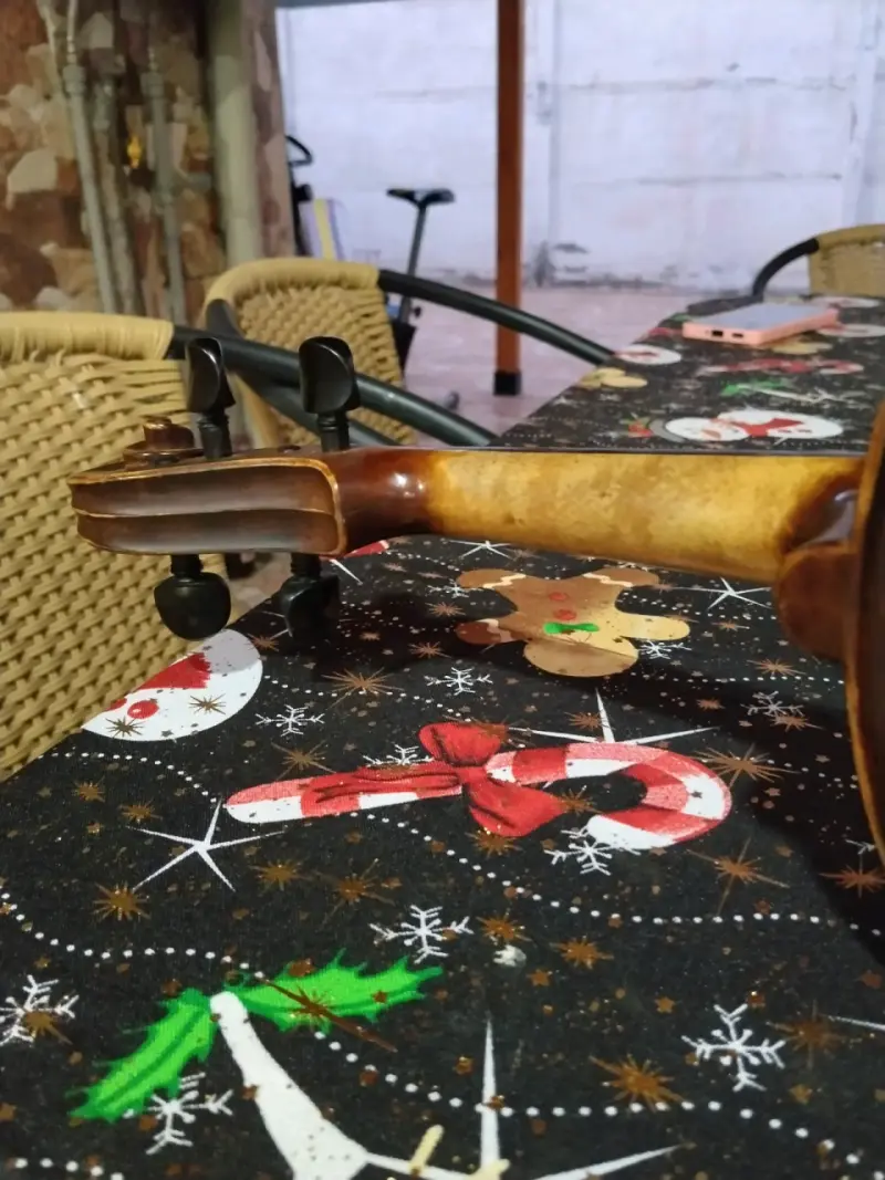 Vendo violín 4/4 "VERONA" - 2