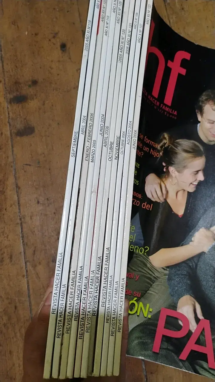Lote de 11 revistas HF Hacer Familia para padres - 2