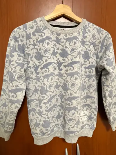 Polerón Jurassic World gris estampado niño t. 10 - miniatura 1