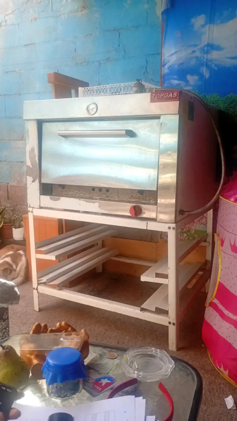 Horno industrial a gas Topgas